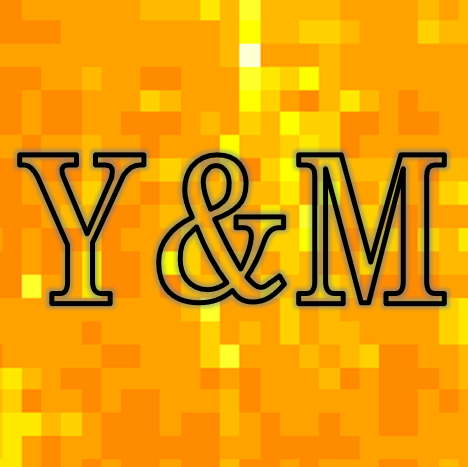 Y&M Data Analysis Service
